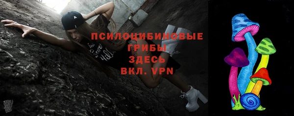 соль ск Протвино