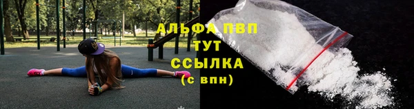 стаф Покровск