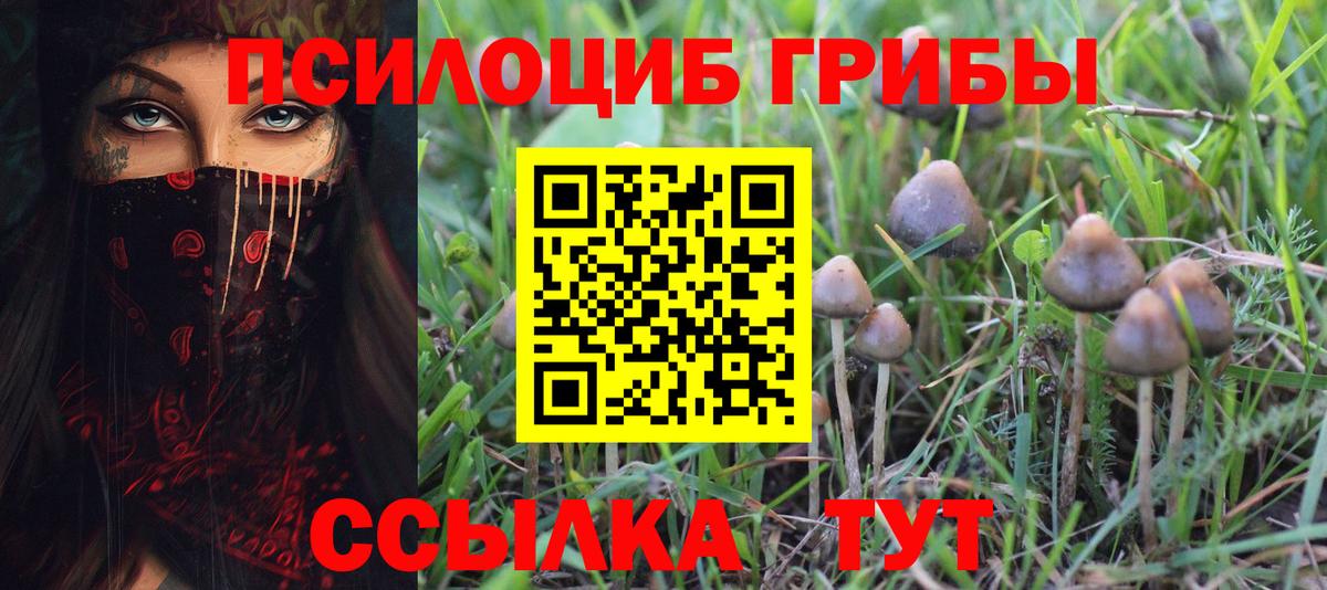 Галлюциногенные грибы Magic Shrooms Балашов