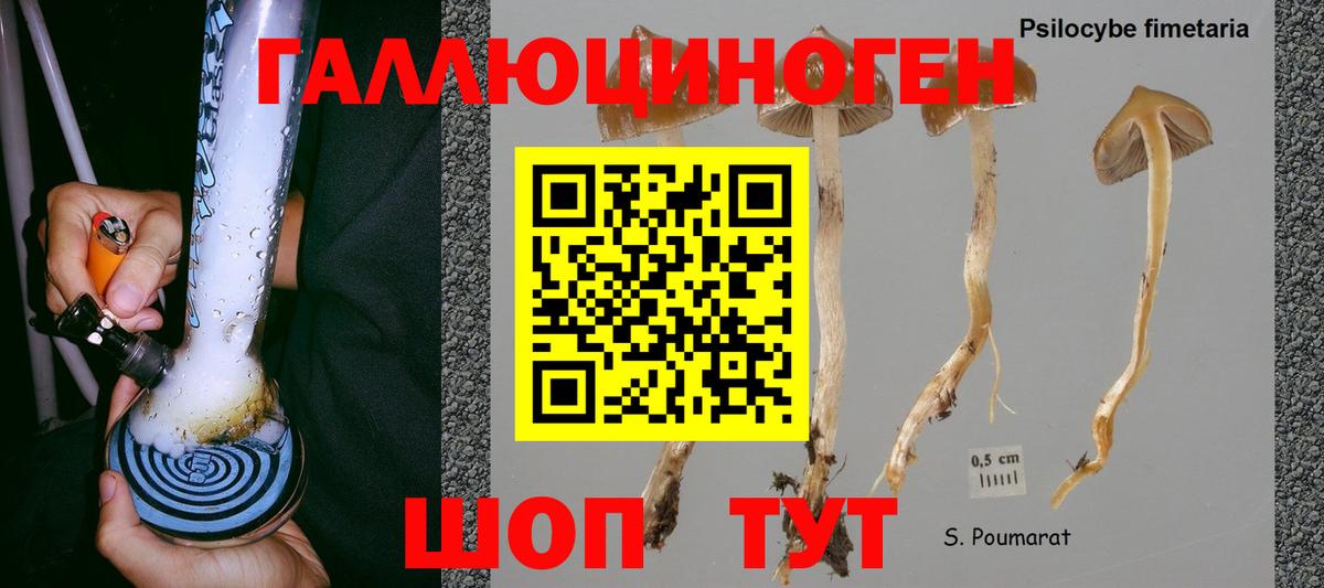 Галлюциногенные грибы мухоморы  купить наркотик  Балашов 
