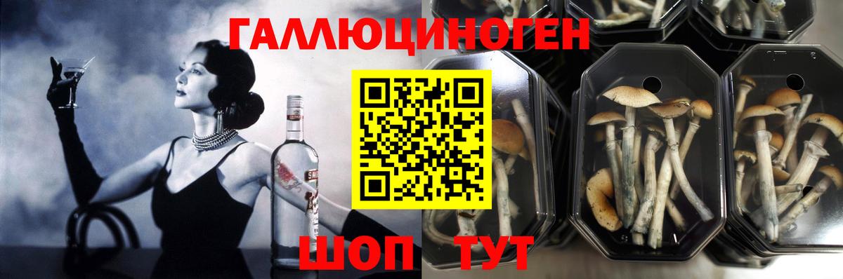 Балашов  сколько стоит  Вход с VPN  Галлюциногенные грибы Cubensis  Галлюциногенные грибы ЛСД 